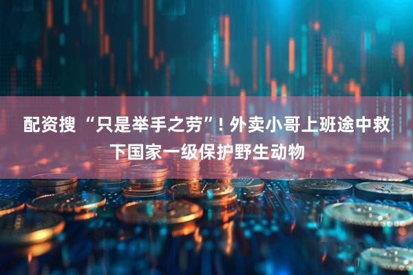 配资搜 “只是举手之劳”! 外卖小哥上班途中救下国家一级保护野生动物
