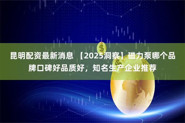 昆明配资最新消息 【2025洞察】磁力泵哪个品牌口碑好品质好，知名生产企业推荐