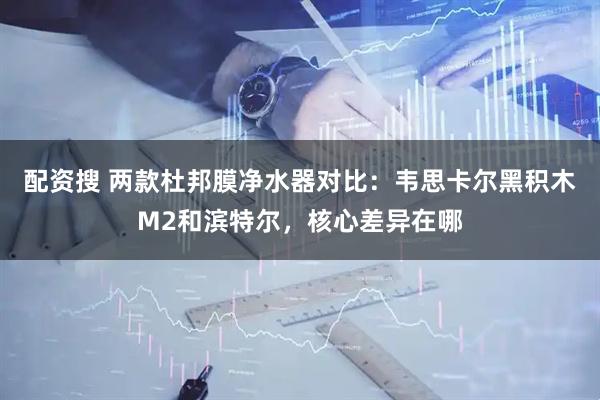 配资搜 两款杜邦膜净水器对比：韦思卡尔黑积木M2和滨特尔，核心差异在哪