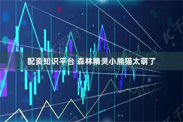 配资知识平台 森林精灵小熊猫太萌了