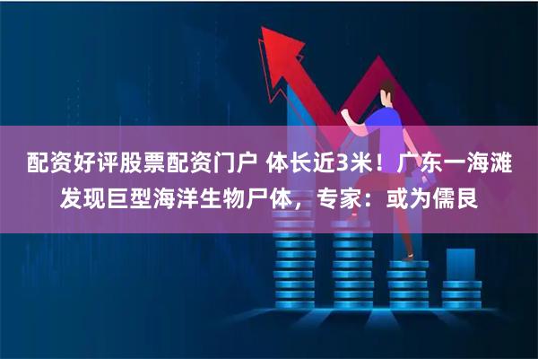 配资好评股票配资门户 体长近3米！广东一海滩发现巨型海洋生物尸体，专家：或为儒艮