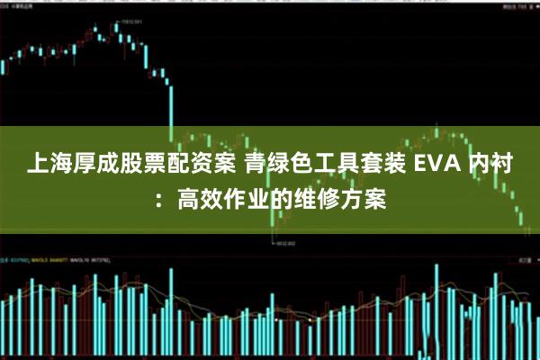 上海厚成股票配资案 青绿色工具套装 EVA 内衬：高效作业的维修方案