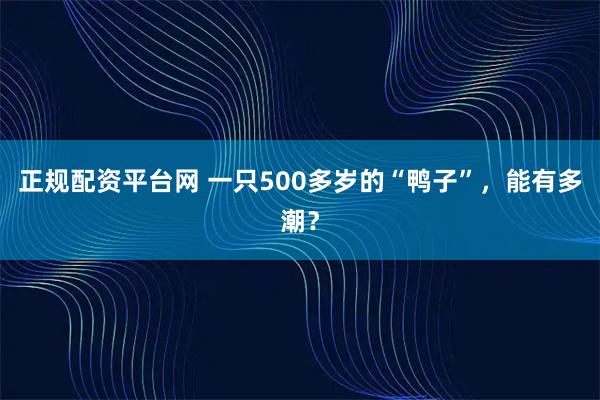正规配资平台网 一只500多岁的“鸭子”，能有多潮？