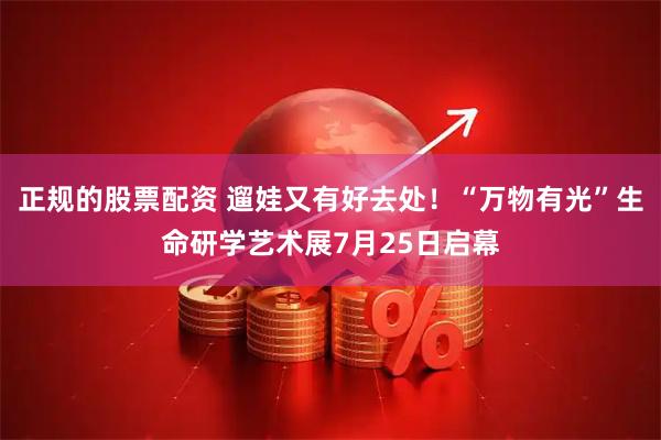 正规的股票配资 遛娃又有好去处！“万物有光”生命研学艺术展7月25日启幕